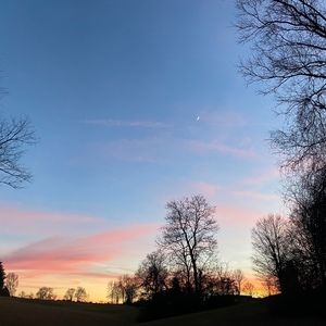 Meet your Posher, Brynn